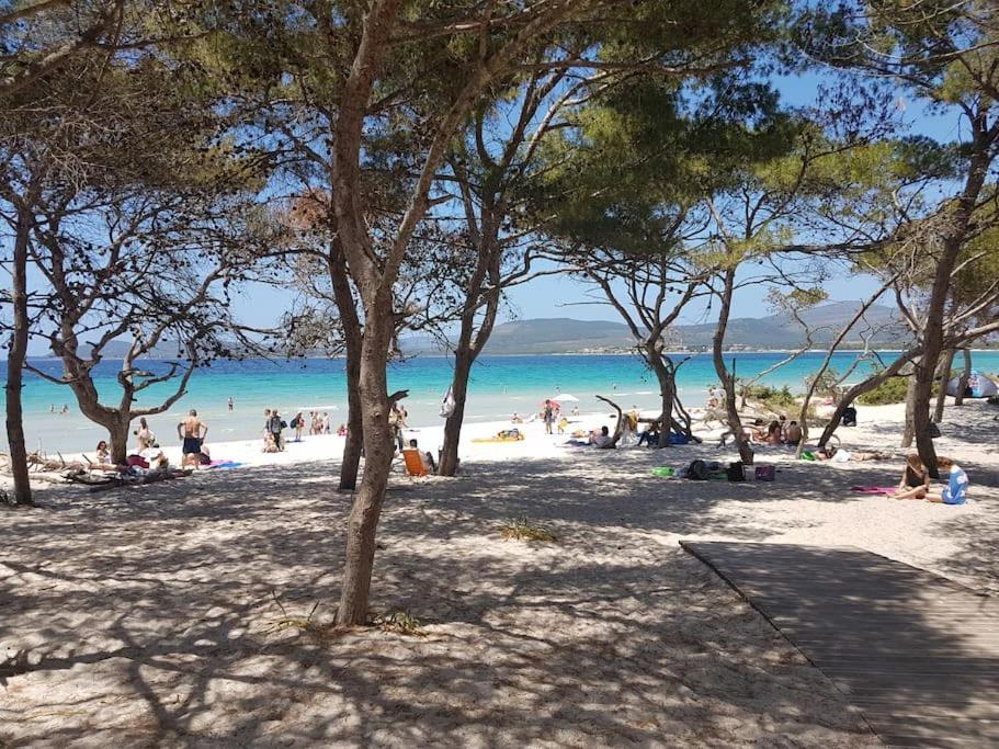 La Perla Bianca - Alghero Lido, Vicino Al Mare Dış mekan fotoğraf
